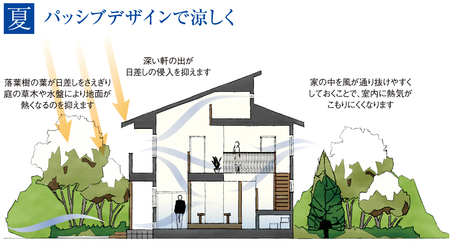 夏 パッシブデザインで涼しく